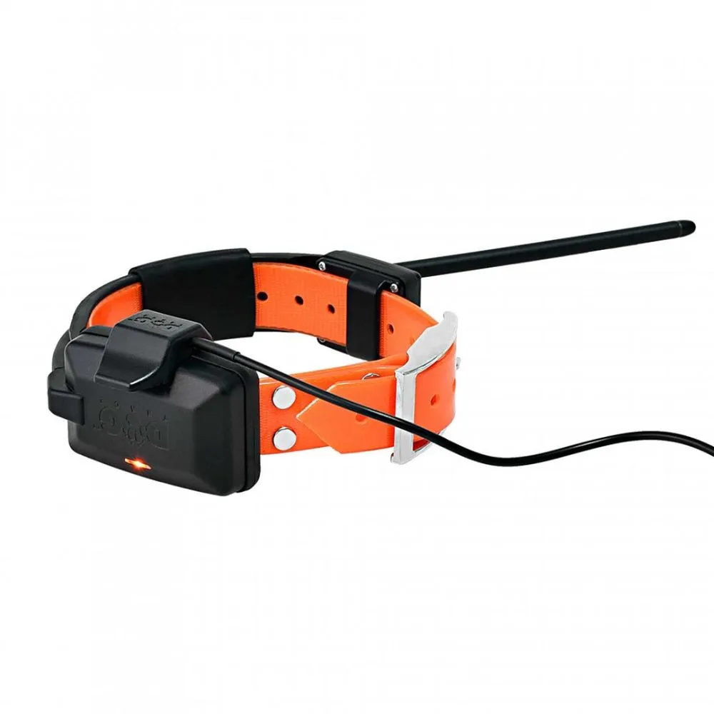 Dog Trace | GPS Collar For Another Dog - DOG GPS X30