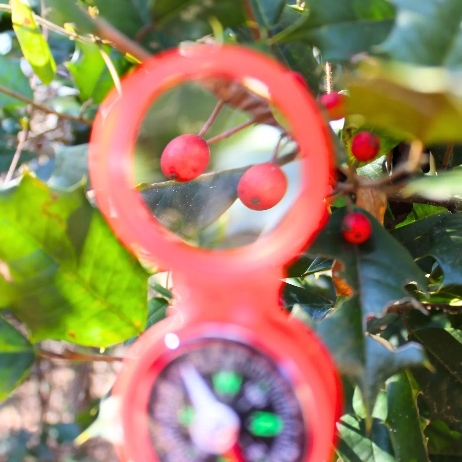 Opaque Optic One