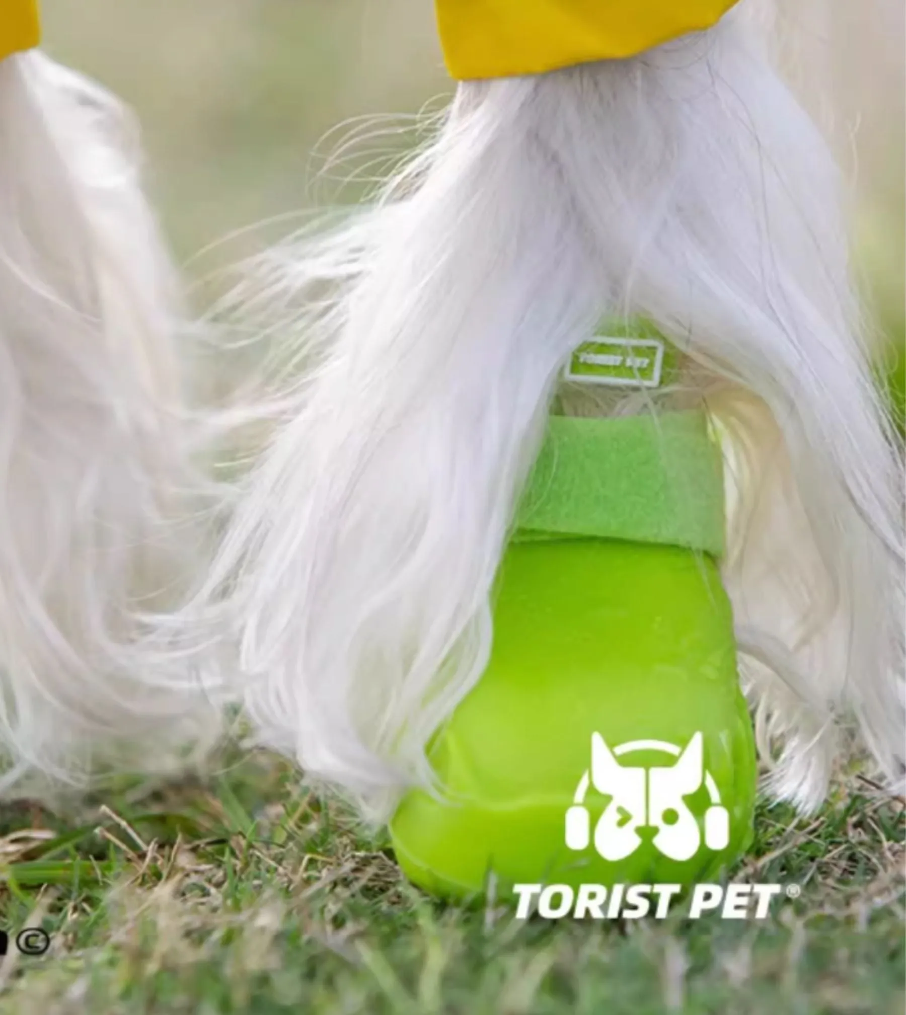 Torist Pet All-Weather Dog Boots (Lime Green)