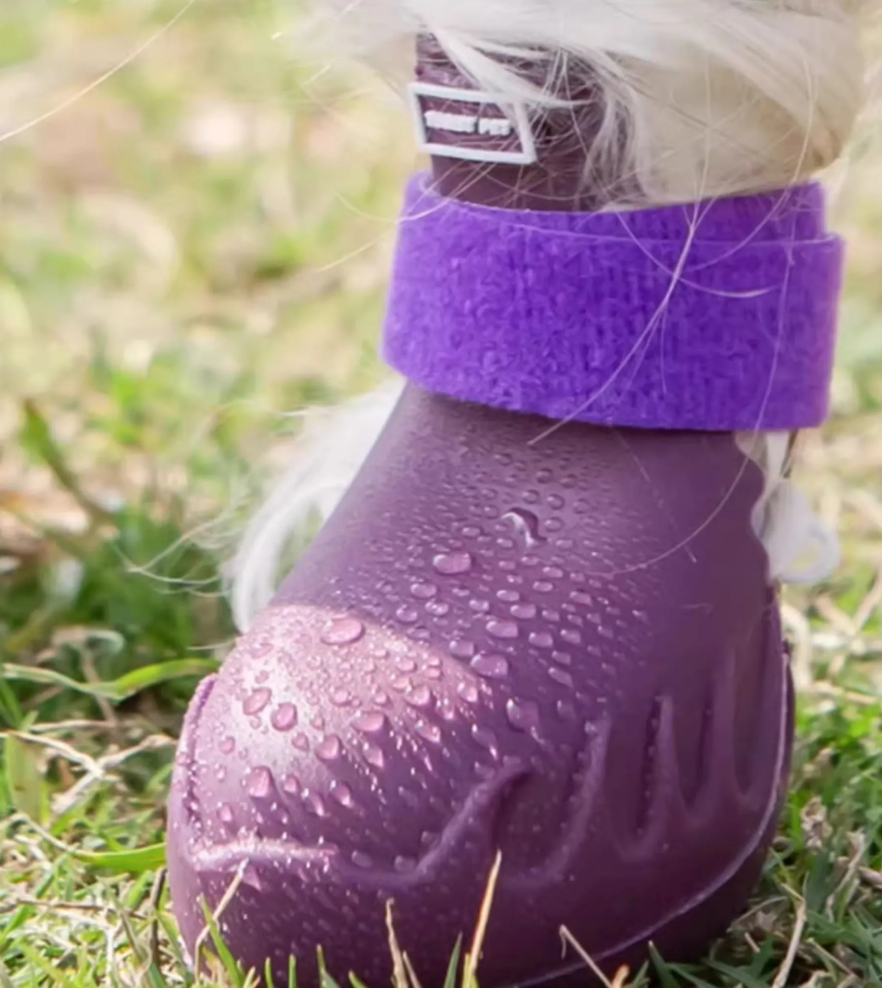 Torist Pet All-Weather Dog Boots (Mountain Purple)